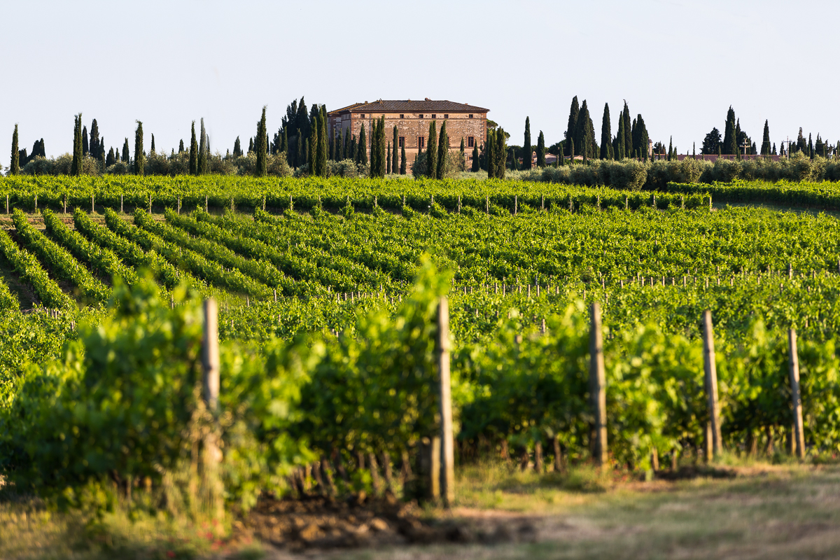 How the World’s Largest Winery Built an AI Stack That Ages Well with Shakudo
